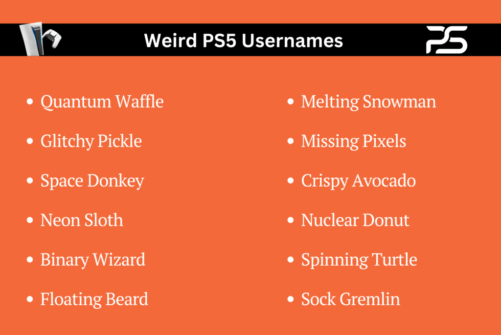 Weird PS5 Usernames