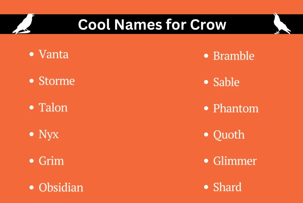 Cool Names for Crow