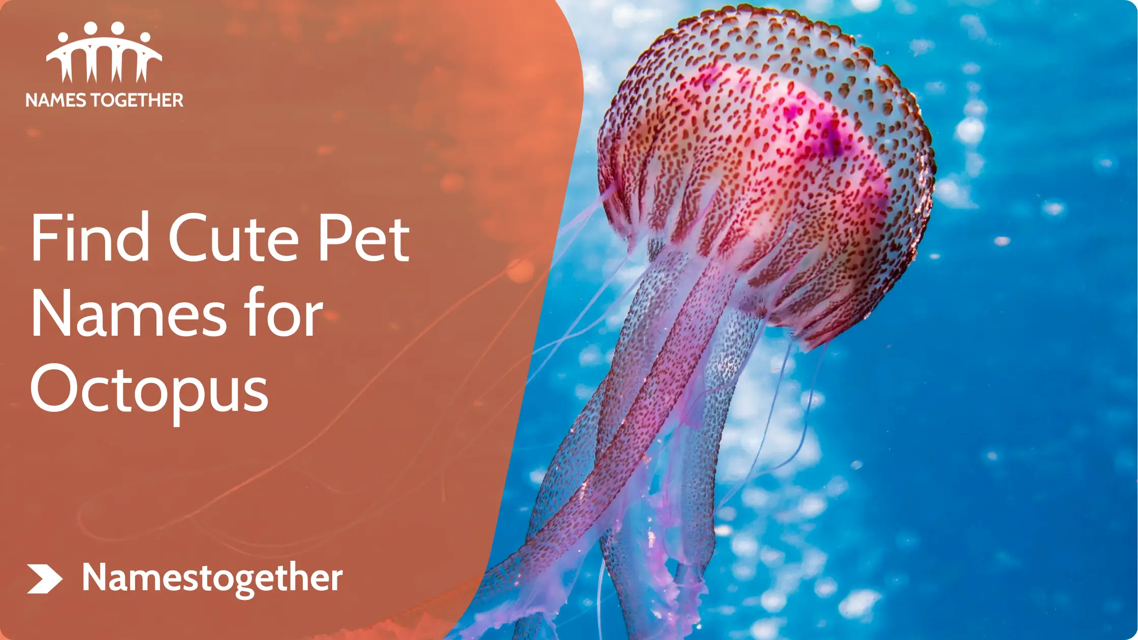Find Cute Pet Names for Octopus