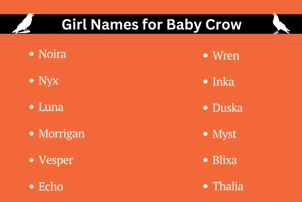 Girl Names for Baby Crow