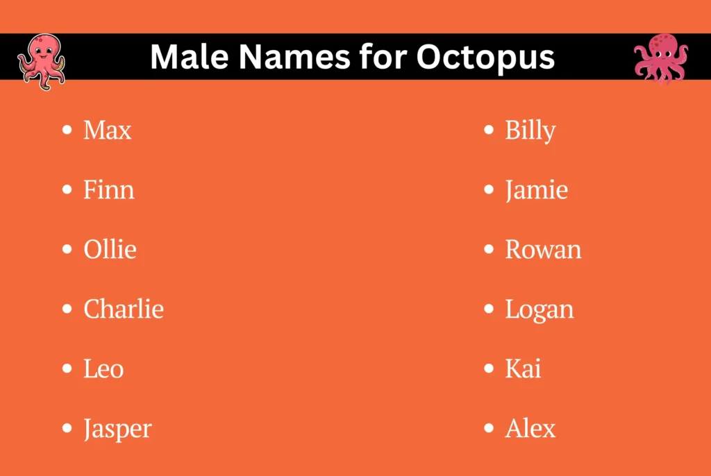 Male Names for Octopus