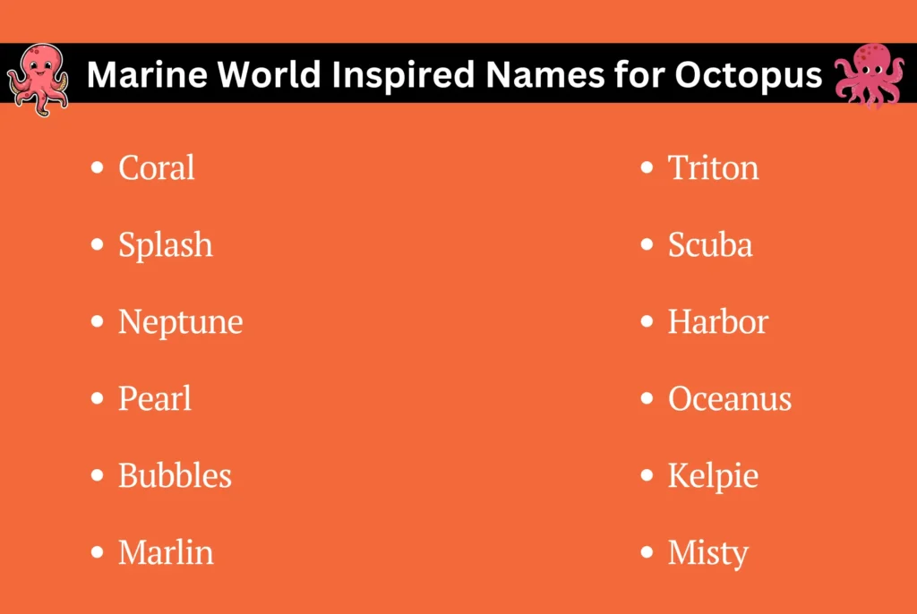 Marine World Inspired Names for Octopus