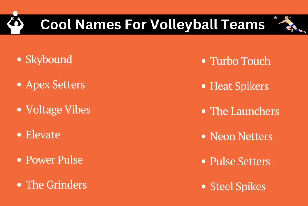 Cool Names For Volleyball Teams