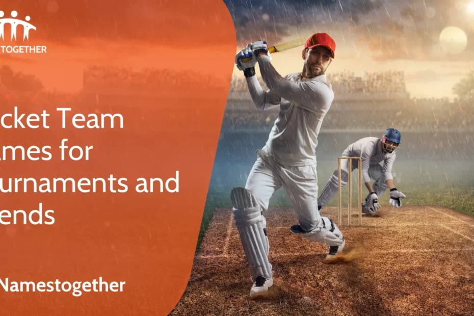 Cricket Team Names for Tournaments and Friends