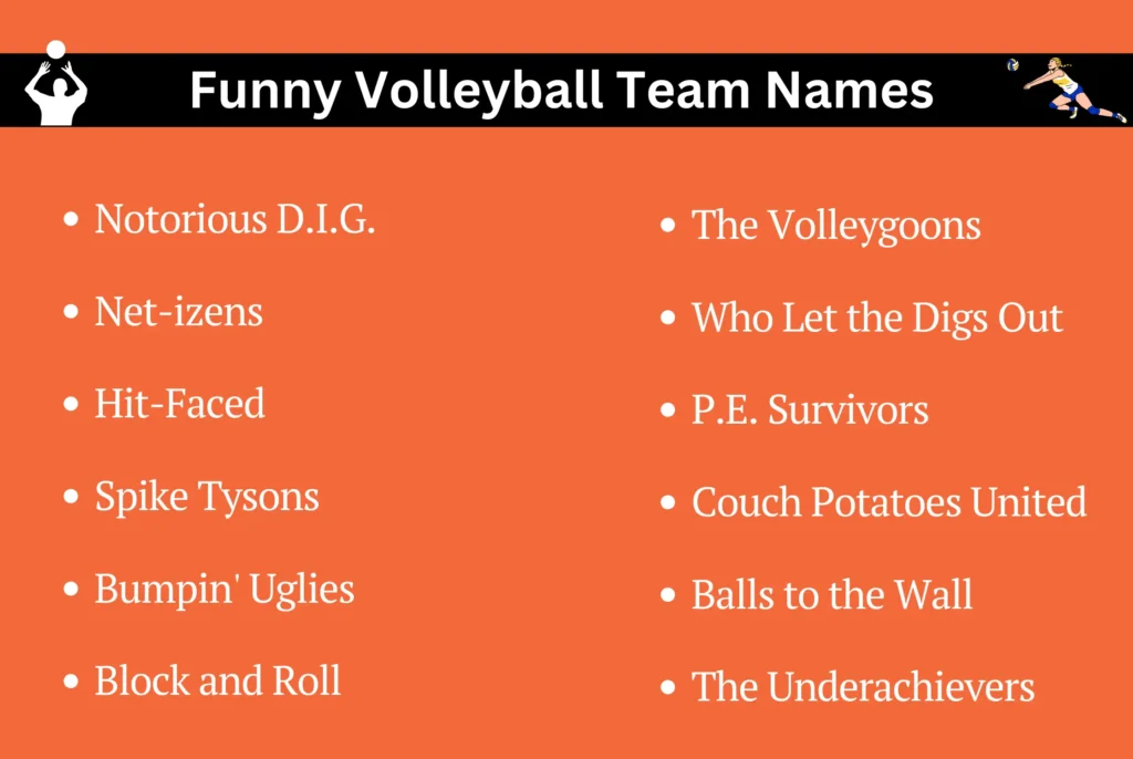 Funny Volleyball Team Names