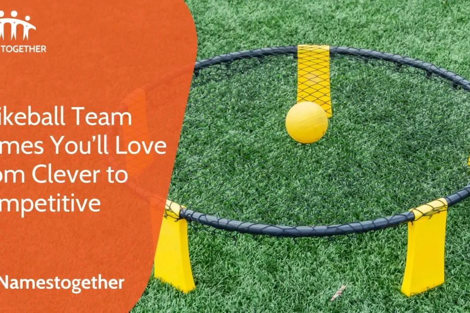 Spikeball Team Names You’ll Love From Clever to Competitive